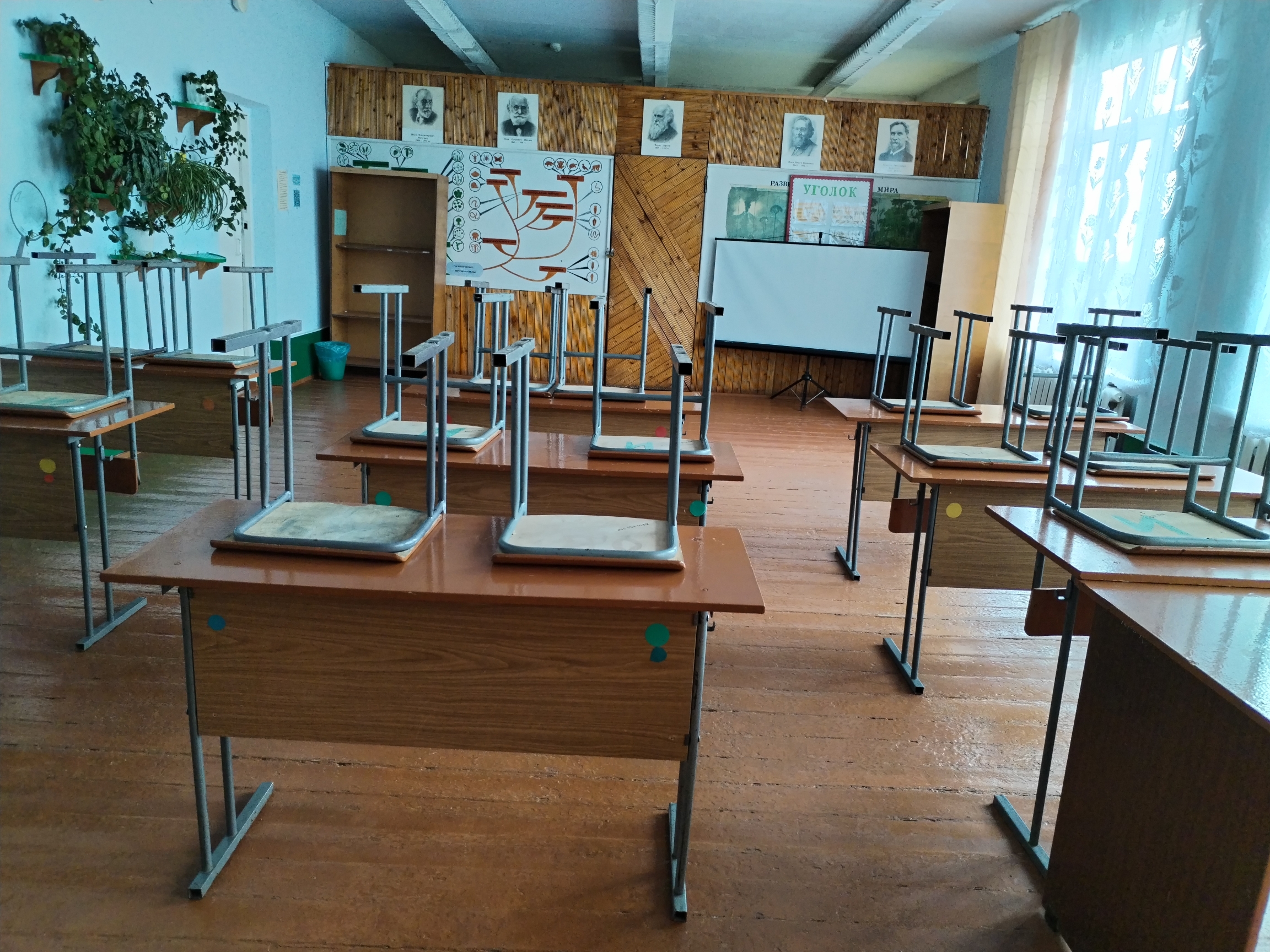 Кабинет Биологии Кабинет Биологии