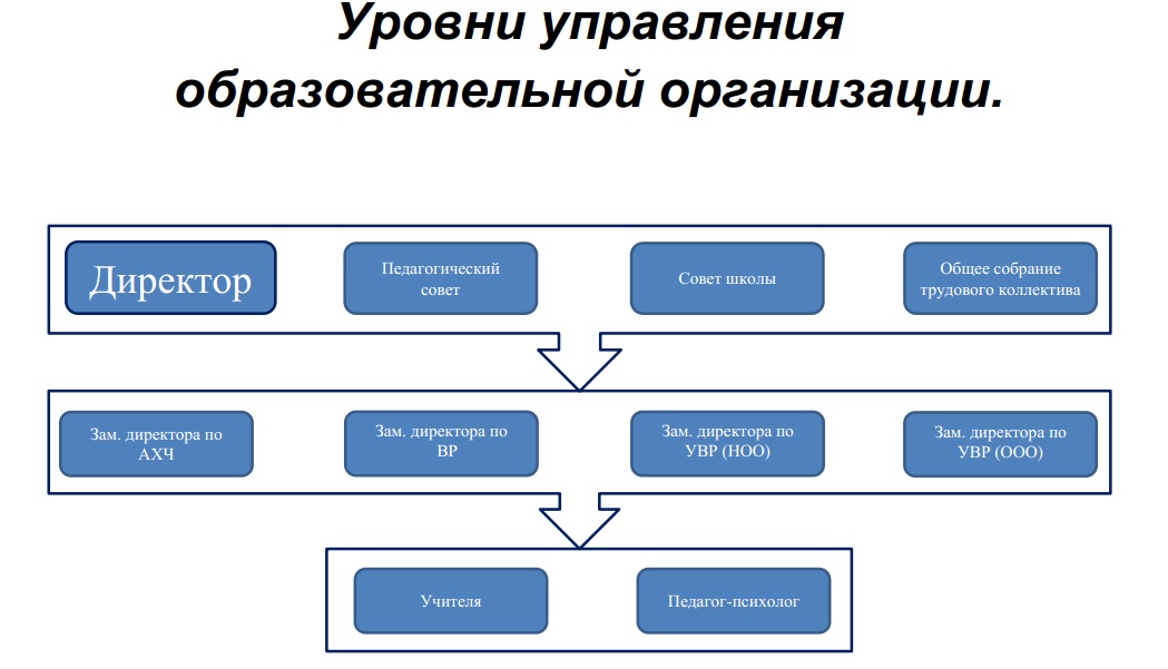 Уровни управления выделяемые в организации